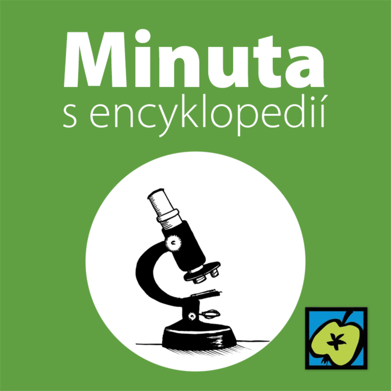 Obrázek epizody Mikroskop