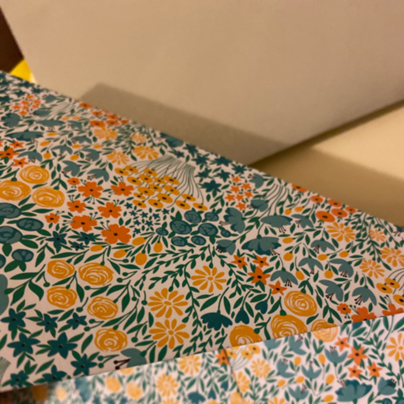 Obrázek epizody ASMR - píšu lidem dopisy