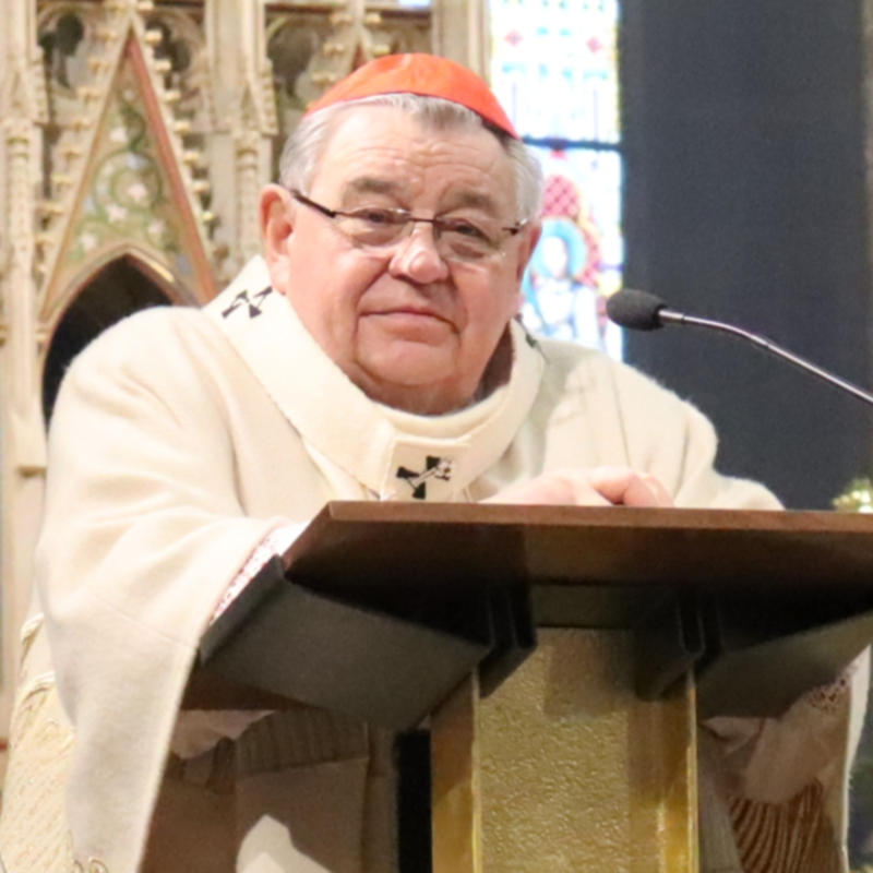 Obrázek epizody Dominik kardinál Duka - Vánoční přání 2020 kardinála Dominika Duky