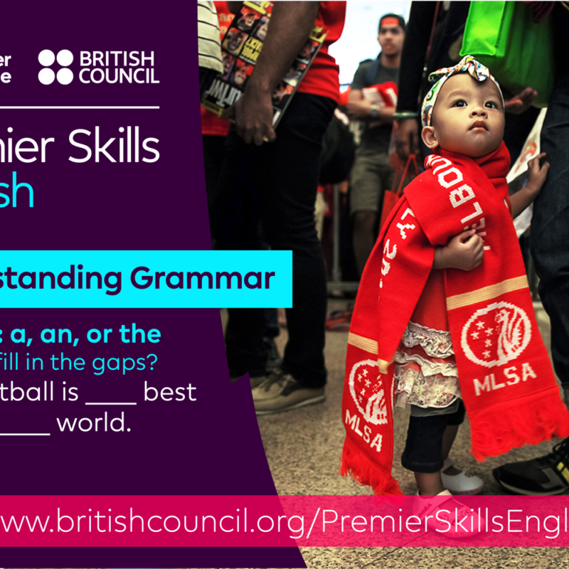 Obrázek epizody Understanding Grammar - a, an, or the