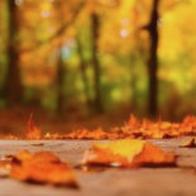 Obrázek epizody HOROSKOPY: Váhy, máte velkou šanci, že se stane skutečností to, co jste si již dávno přáli