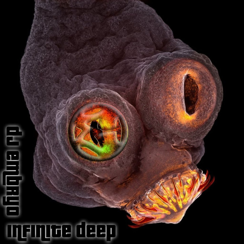 Obrázek epizody DJ Embryo - Infinite Deep Mix
