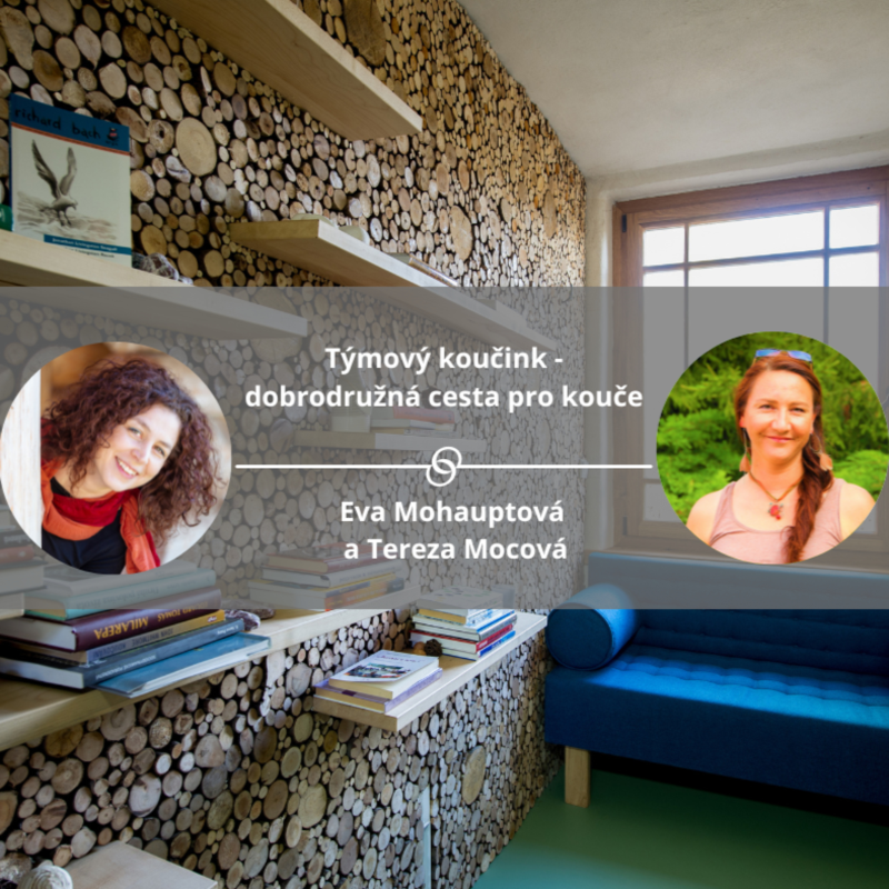 Obrázek epizody Týmový koučink - dobrodružná cesta pro kouče. #koucinkakademie