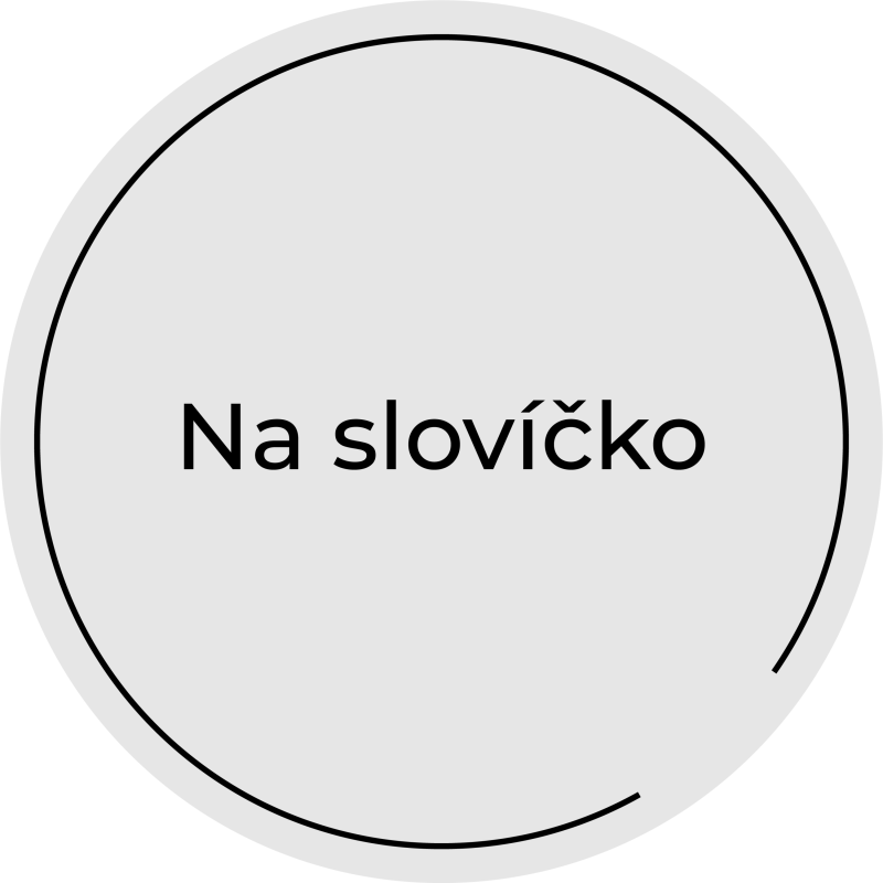 Obrázek epizody #1 - Pilotní díl podcastu Na slovíčko