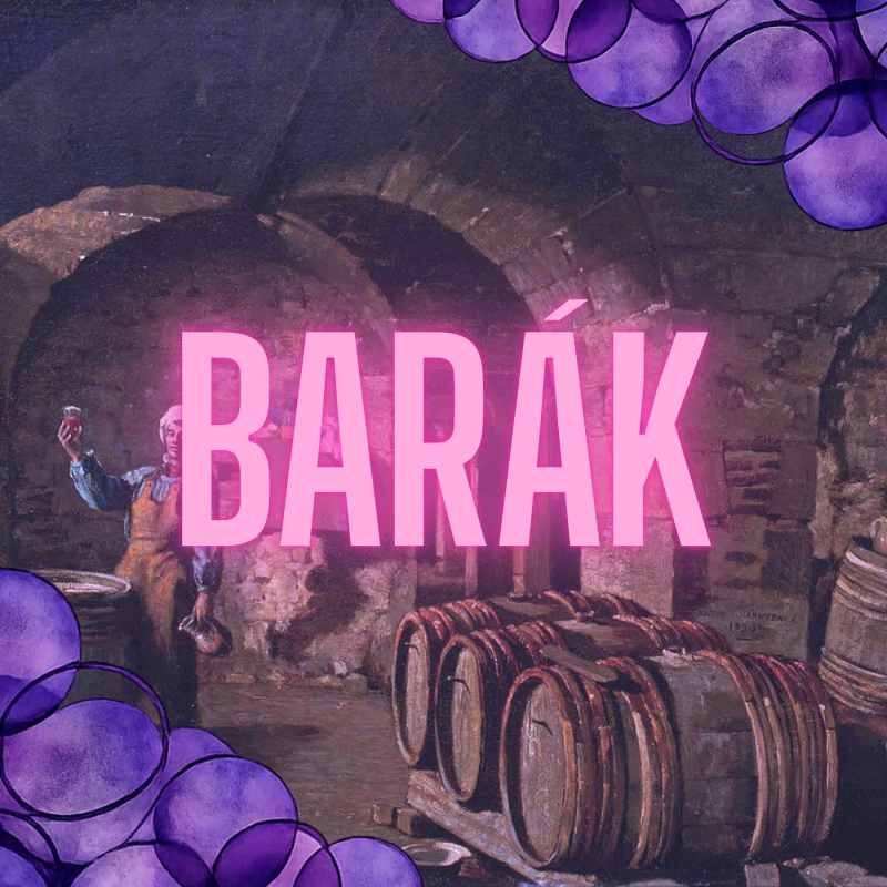 Obrázek epizody Nejkrásnější vinařství světa