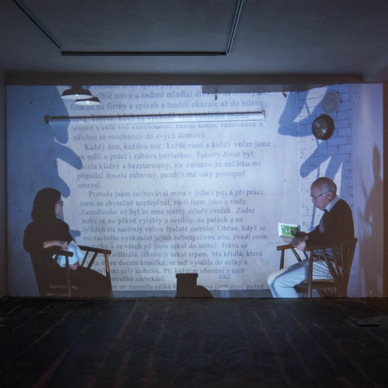 Obrázek epizody Galerie OFF/FORMAT: Když jsme si četli (Minh Thang Pham)