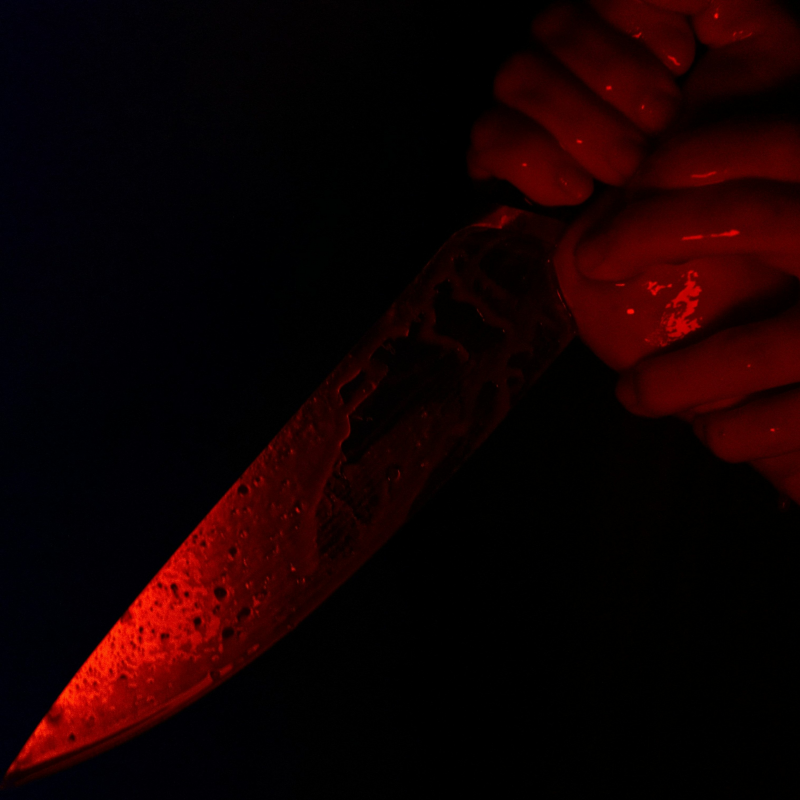 Obrázek epizody Dům pro panenky: Anatoly Moskvin a jeho posedlost smrtí