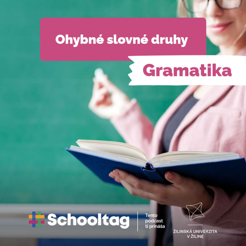 Obrázek epizody #Gramatika - Ohybné slovné druhy