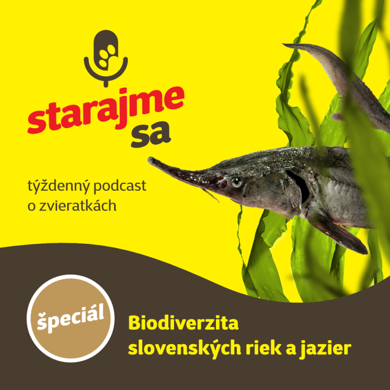 Obrázek epizody Špeciál: Biodiverzita slovenských riek a jazier