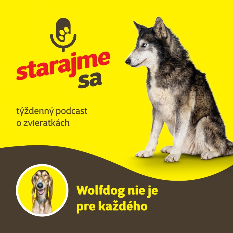 Obrázek epizody Psy: Wolfdog nie je pre každého