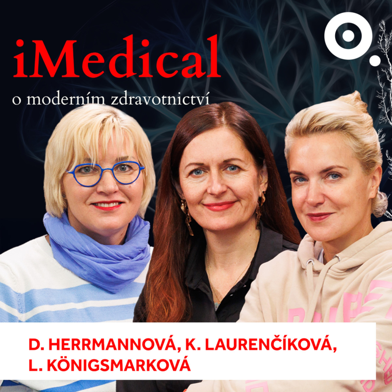 Obrázek epizody Tisíce dětí s postižením nemohou do školy. Rodiče: "Je to jako třetí hypotéka"