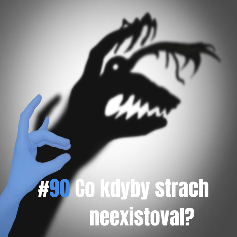 Obrázek epizody 90: Co kdyby strach neexistoval?