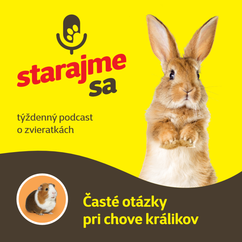 Obrázek epizody Drobné cicavce: Časté otázky pri chove králikov