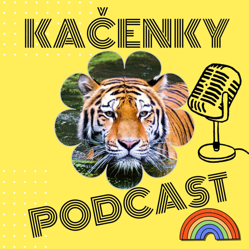 Obrázek epizody #9: Tygr indický