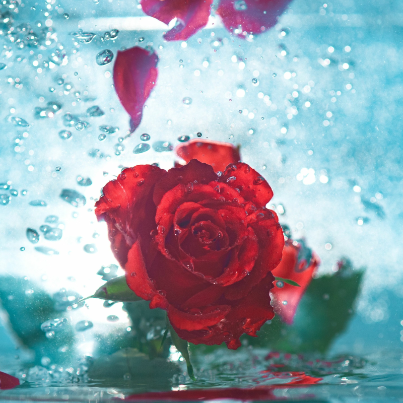 Obrázek epizody Otevírání studánek pro ženskou duši - 18 – Modlitba nad spánkem