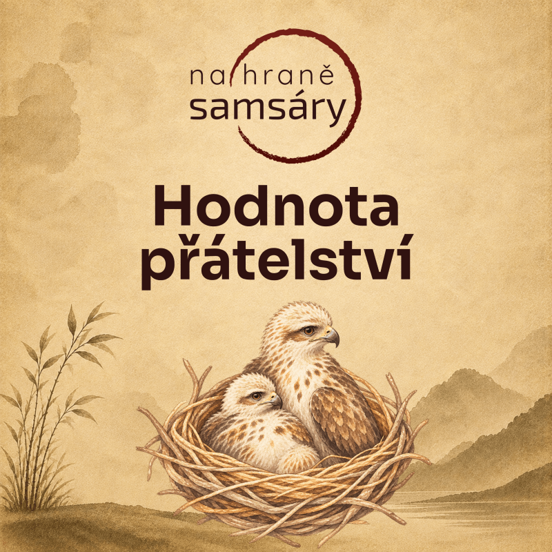 Obrázek epizody 25. Hodnota přátelství