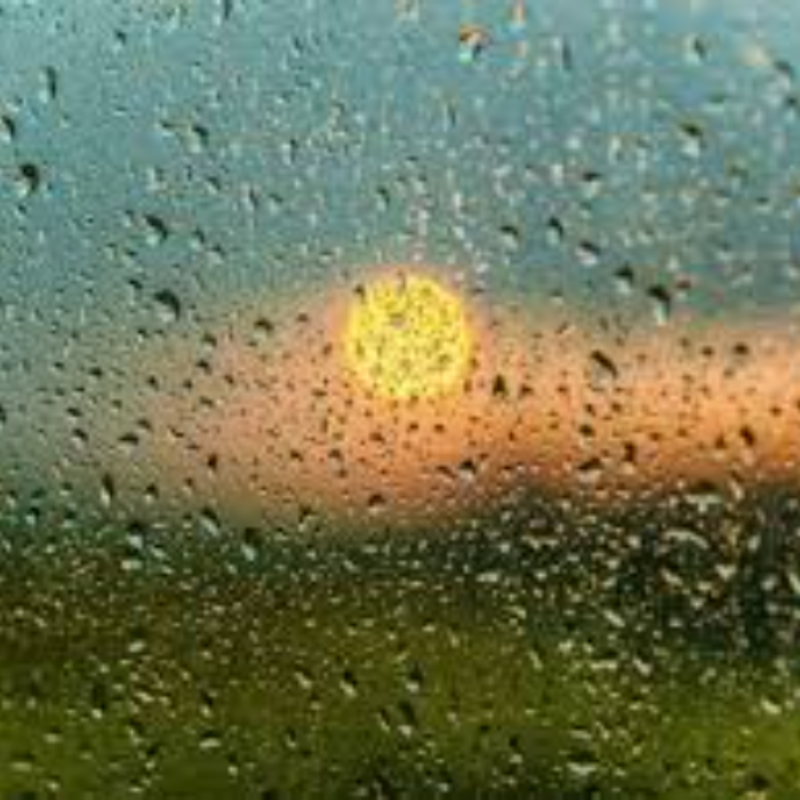 Obrázek epizody ZPĚT V ÉTERU - 25. 4. 2025