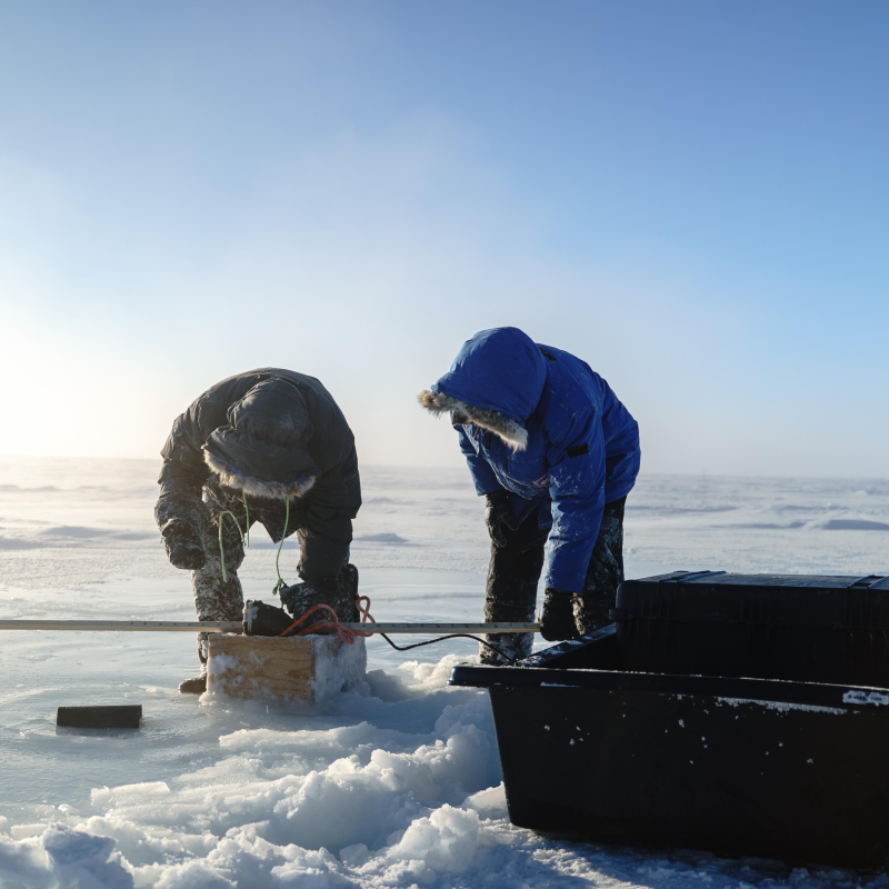 Obrázek epizody Inside the audacious plan to refreeze the Arctic