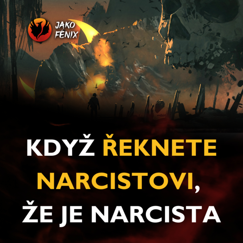Obrázek epizody [ Narcismus ] - Co se stane, když ŘEKNETE NARCISTOVI, ŽE JE NARCISTA?