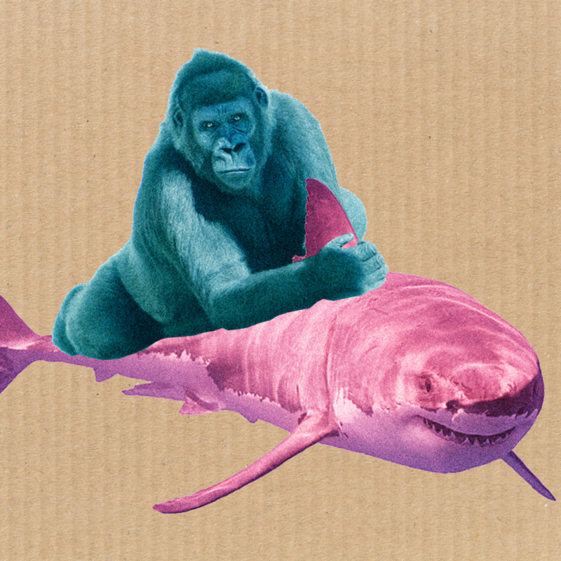 Obrázek epizody #27 Žralok vs. Gorila aneb boj Jaroslava Haščáka s vlastní minulostí