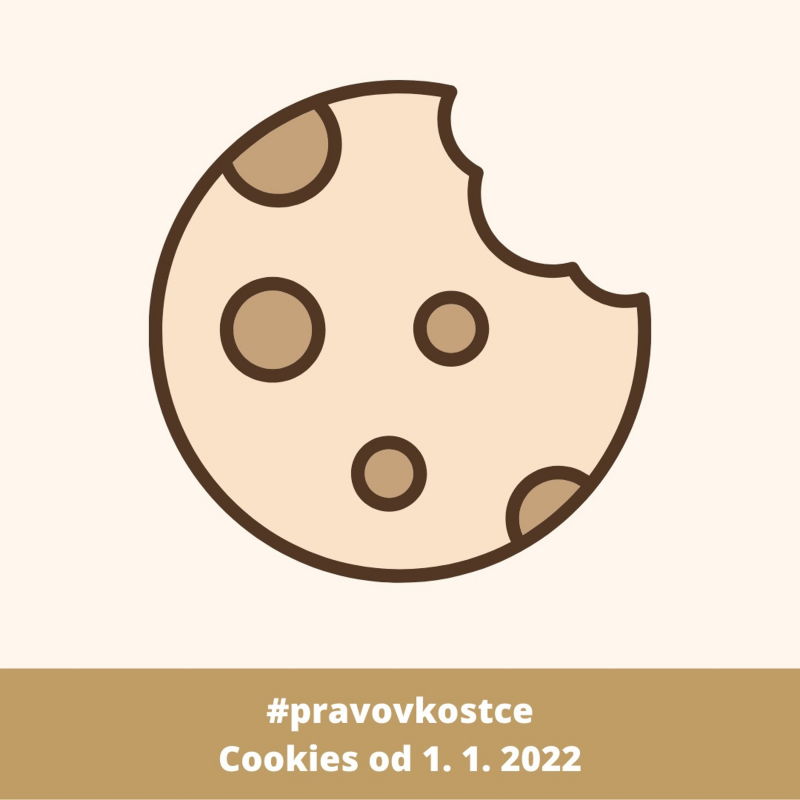 Obrázek epizody Právo v kostce - #37 - Cookies s Marií Gavendovou