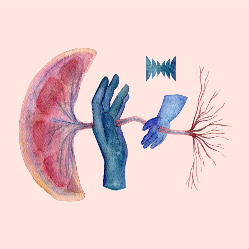 Obrázek epizody Everybody's Got One