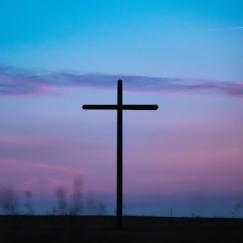 Obrázek epizody Dáma vyléčená z hepatitidy B, aniž by o tom věděla.