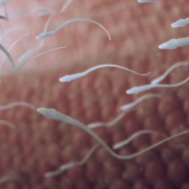 Obrázek epizody 2. díl – V chapadlech murmuru (Literatura krize): Trable s genderem