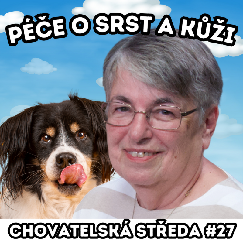 Obrázek epizody 🐩 Péče o SRST a KŮŽI 🐩 | Chovatelská středa #27