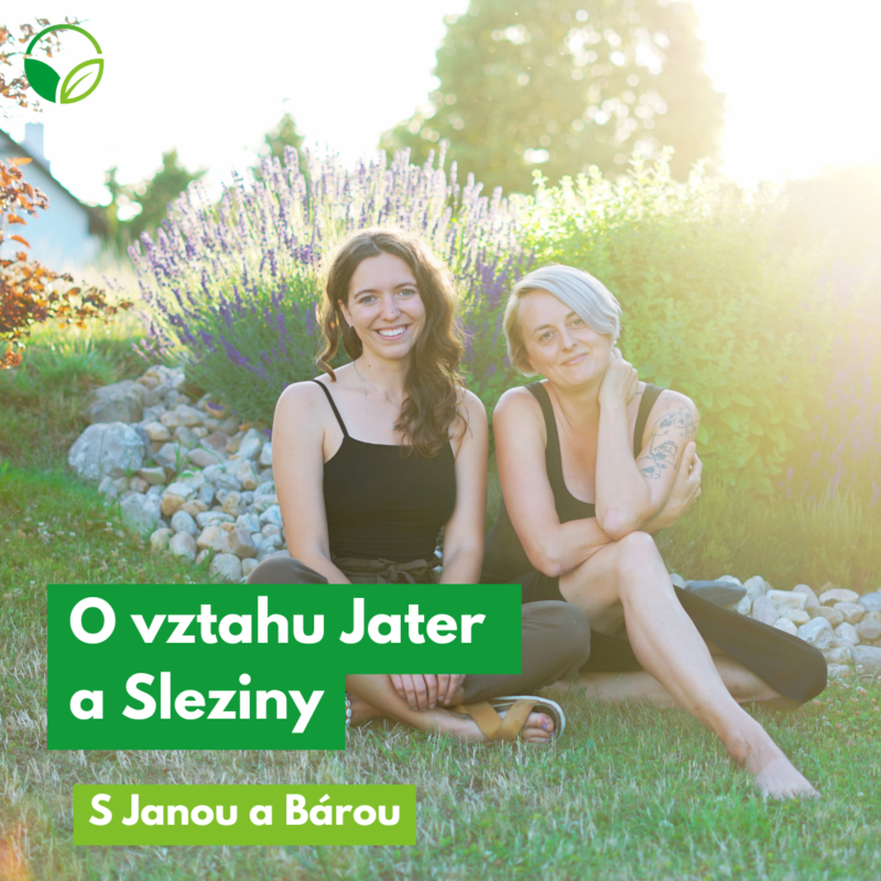 Obrázek epizody O všem s Janou a Bárou | O vztahu Jater a Sleziny