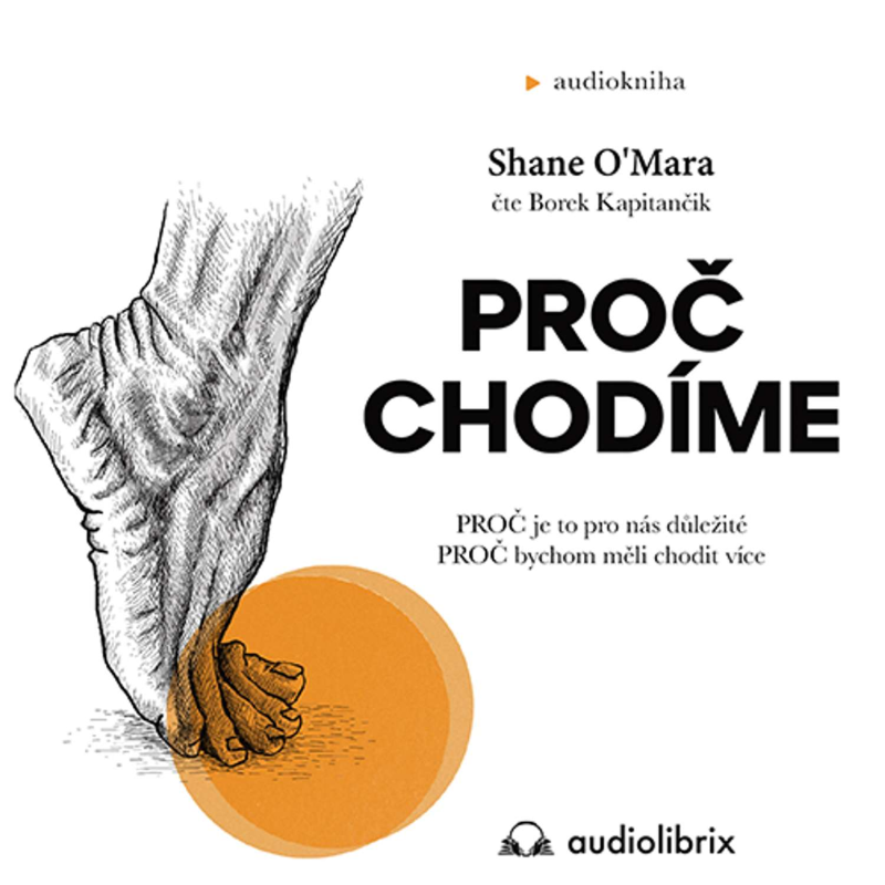 Obrázek epizody Proč chodíme (Shane O’Mara)