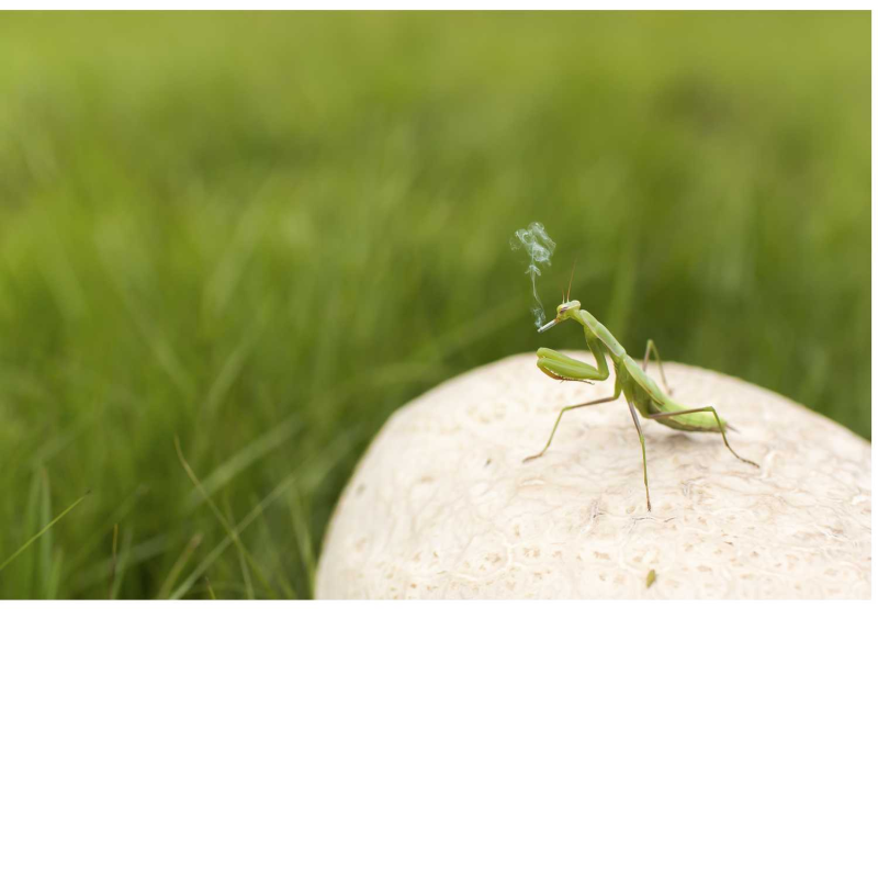 Obrázek epizody Úvod