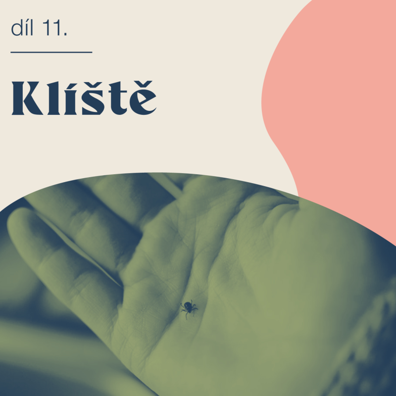 Obrázek epizody # 11 Klíště