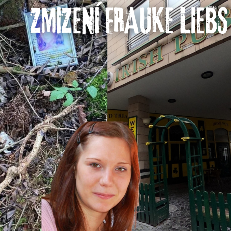 Obrázek epizody ZMIZENÍ FRAUKE LIEBS - TRUECRIME