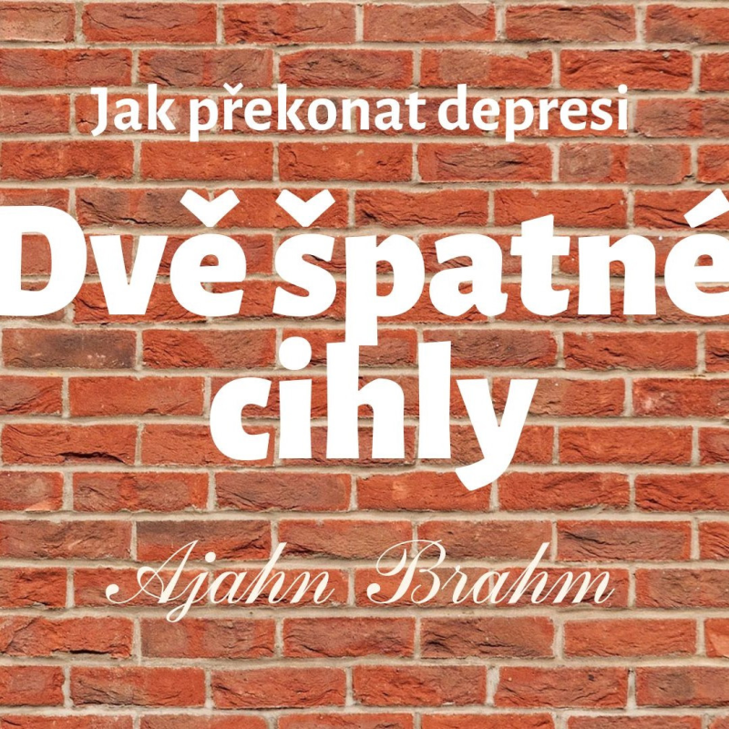 Obrázek epizody Dvě špatné cihly (jak překonat depresi) | Ajahn Brahm | 25.6.2010