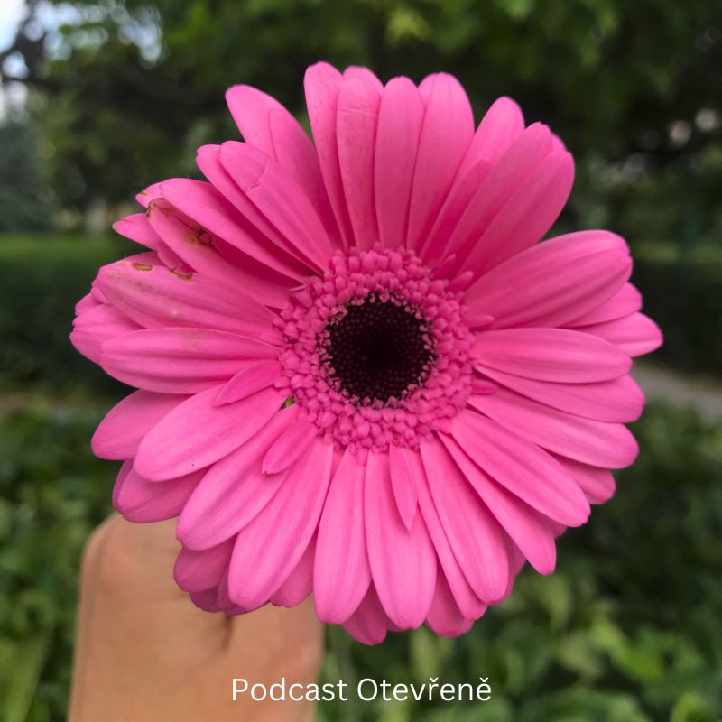 Obrázek epizody #16 - Upřímně, máte dost odvahy vyjádřit, co cítíte?