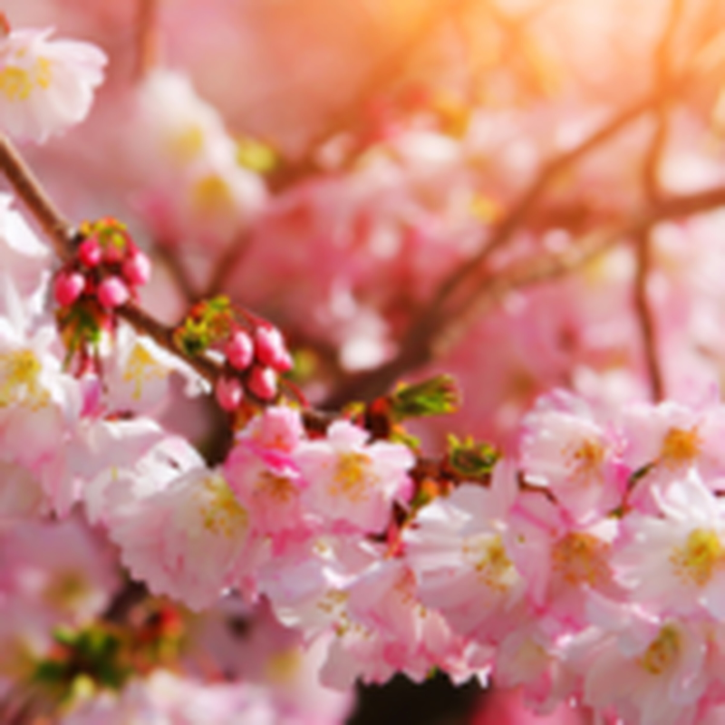 Obrázek epizody HOROSKOPY: Panny, chcete-li na někoho udělat dojem, nechte působit svůj šarm