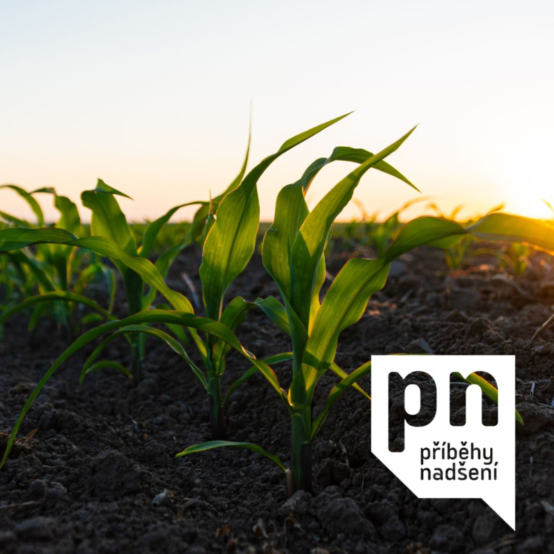 Obrázek epizody 27. Obnova přírody: zákon i příležitost