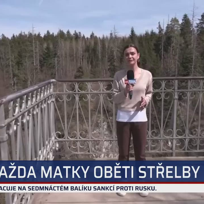 Obrázek epizody Sebevražda matky oběti z fakulty? Psali o ní nesmysly, komise jí dala jen mlžení, tvrdí Šlachta
