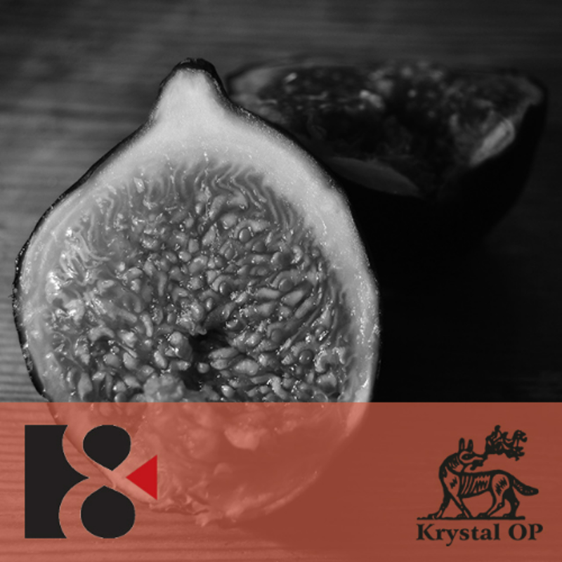 Obrázek epizody Když jsi byl pod fíkovníkem | Adrien Candiard OP