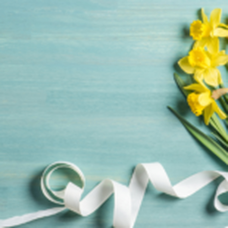 Obrázek epizody HOROSKOPY: Štíři, dejte víc na rozum, než na city. Ne vše půjde podle vašich představ