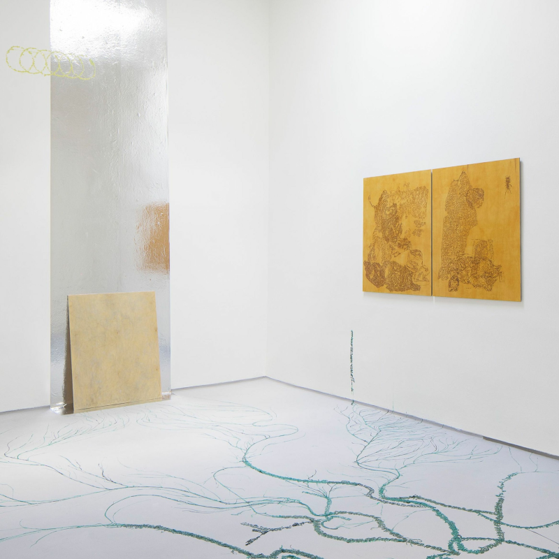 Obrázek epizody Karlin Studios: These Woods Are Where Silence Has Come To Lick Its Wounds (Jakub Tajovský)