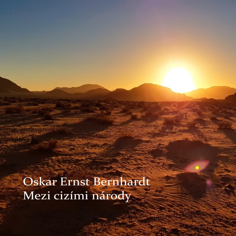 Obrázek epizody XXV - Mezi cizími národy - Zodpovědnost šejka