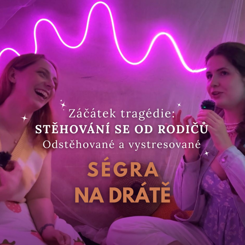 Obrázek epizody Začátek tragédie: Stěhování se od rodičů. List věcí, na které myslet