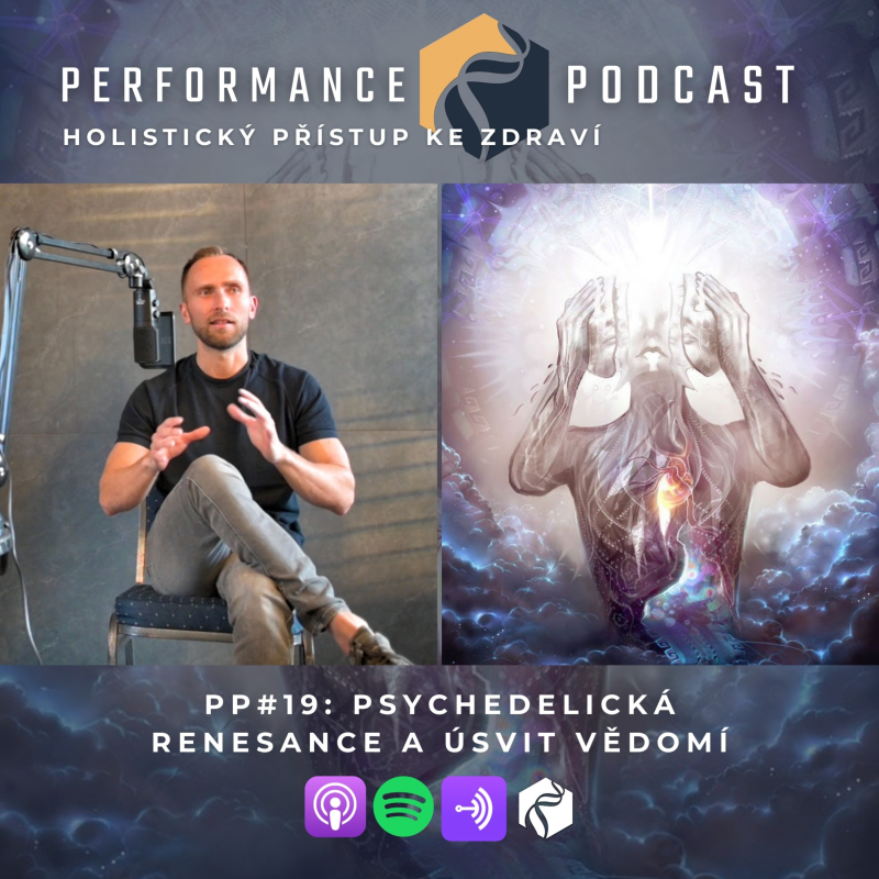 Obrázek epizody #19: Psychedelická renesance a úsvit vědomí