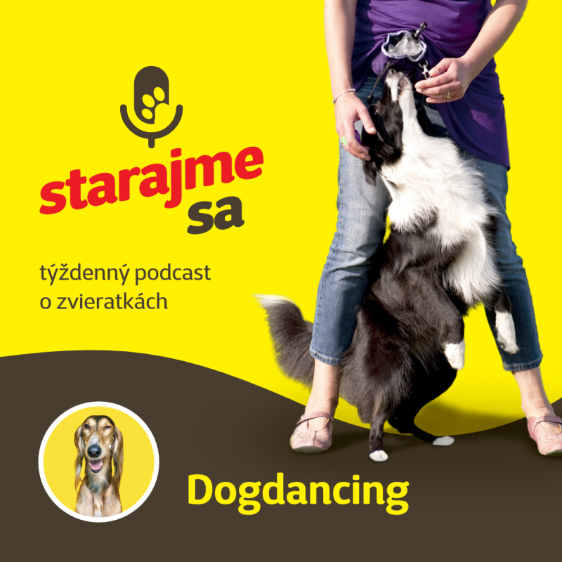 Obrázek epizody Psy: Dogdancing