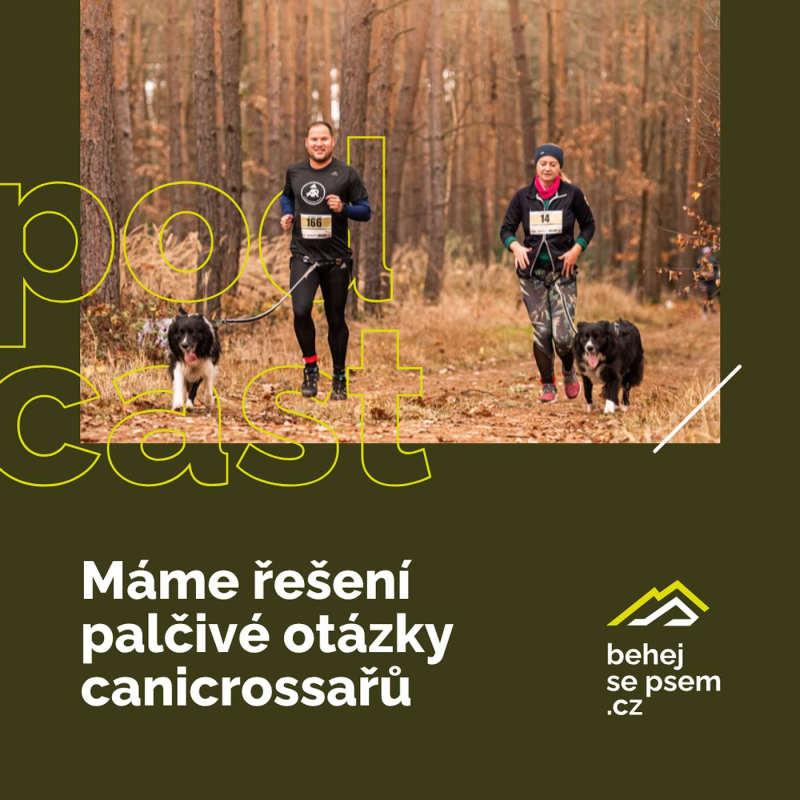 Obrázek epizody Jak dlouhý by měl být canicrossový trénink?