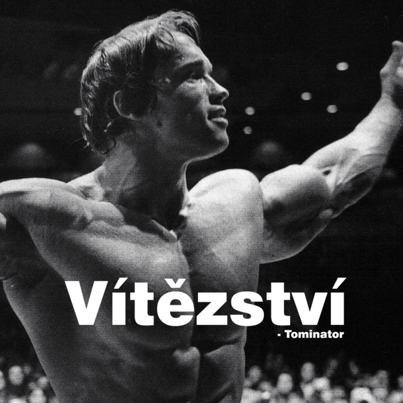 Obrázek epizody #10 Vítězství - Tominator