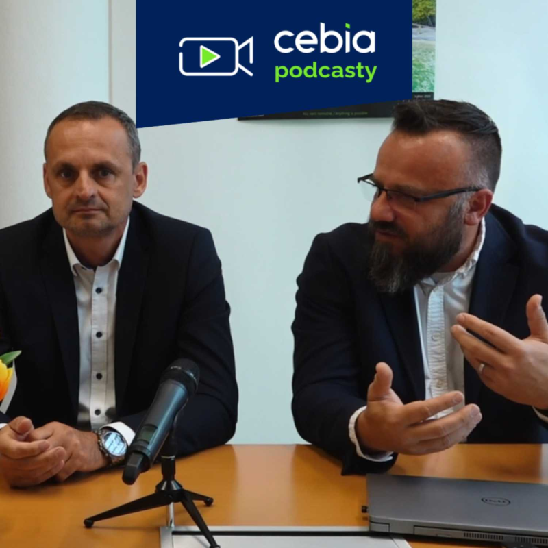 Obrázek epizody Jaké auto si vybrat a kde ho koupit - 1. část