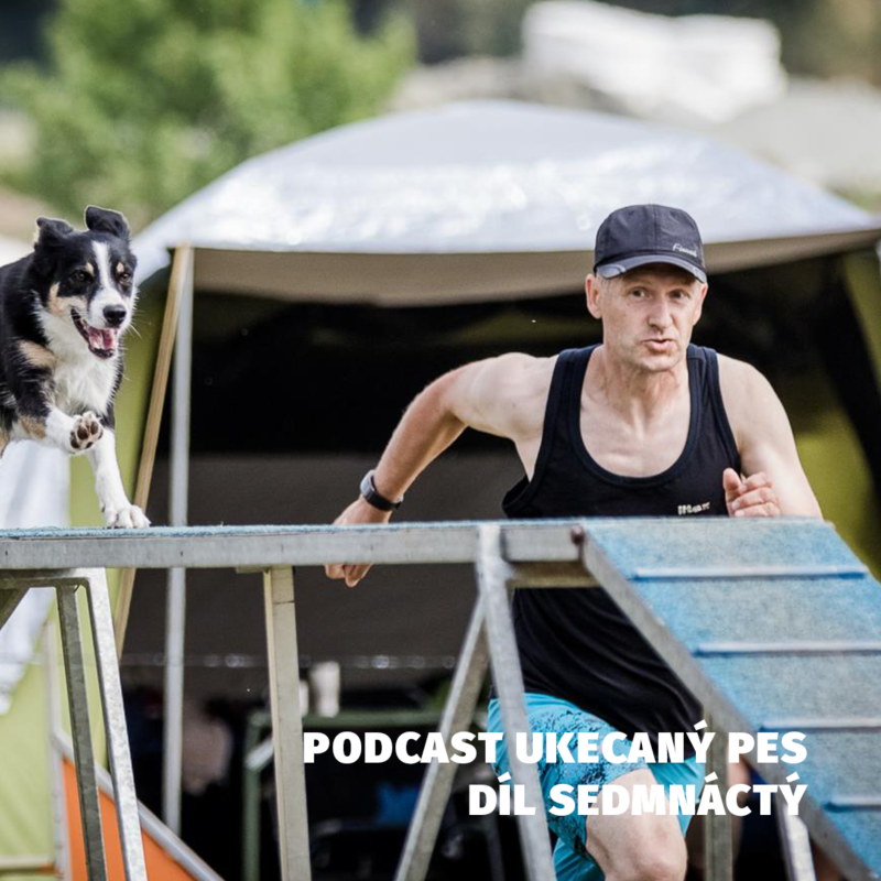 Obrázek epizody Pavel Košek - Agility závodník a pořadatel závodů